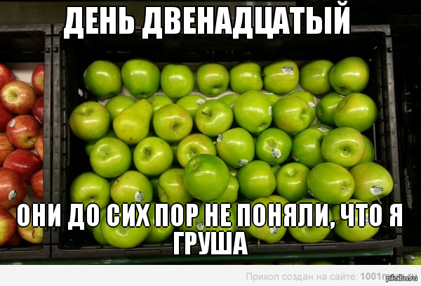 ����� - �����