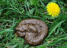 ����� � ��� �������