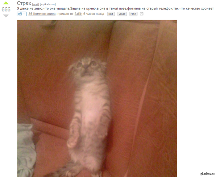 ����� �����.