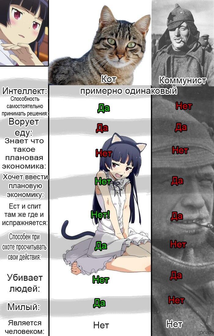 Кот Коммунист Мем