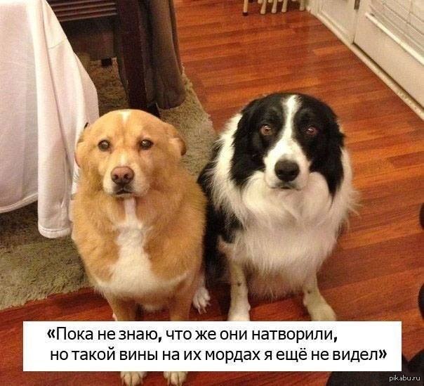 ����� �� ������� ����� �� ����� � ������ ���, ������ ))