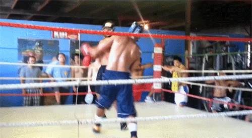 Ball Boxing Gif