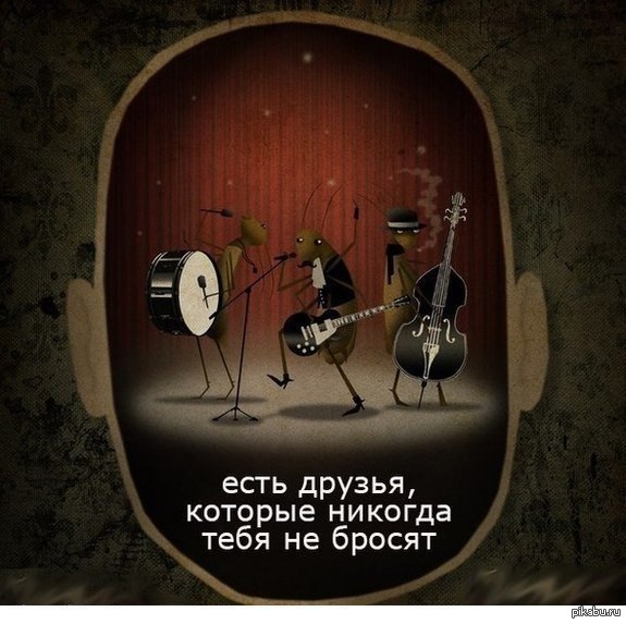 таракашки такие таракашки | Пикабу
