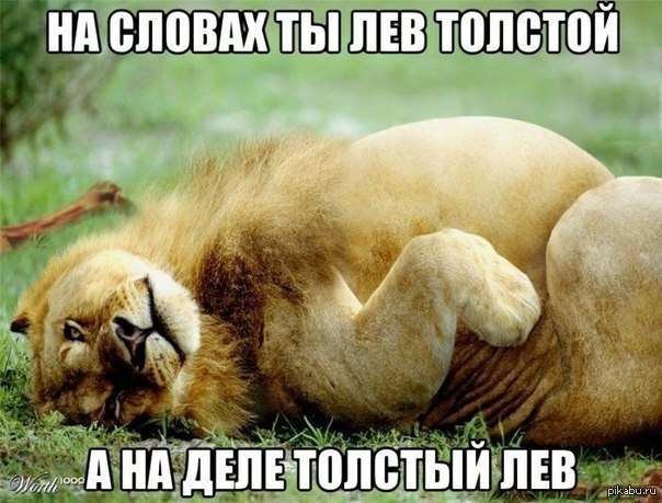 Pun - a lion, Lev Tolstoy, Wordplay, Pun