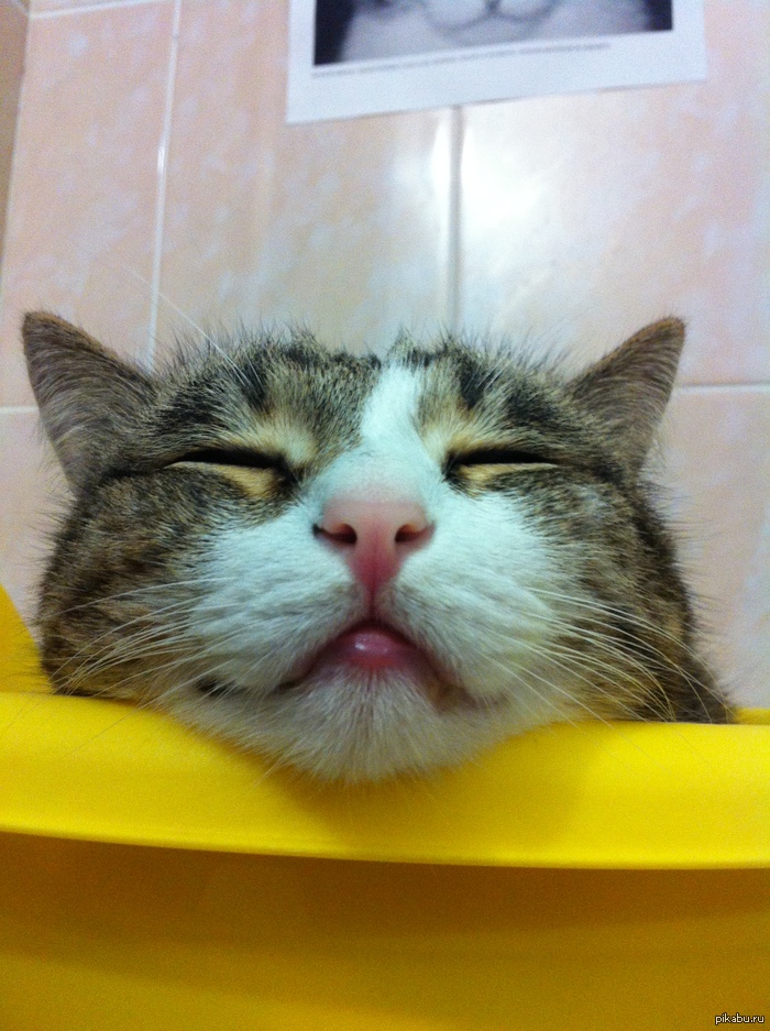 ������-������� �����������!