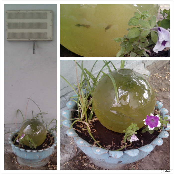 ��� ���������!