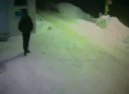 ����! �������!