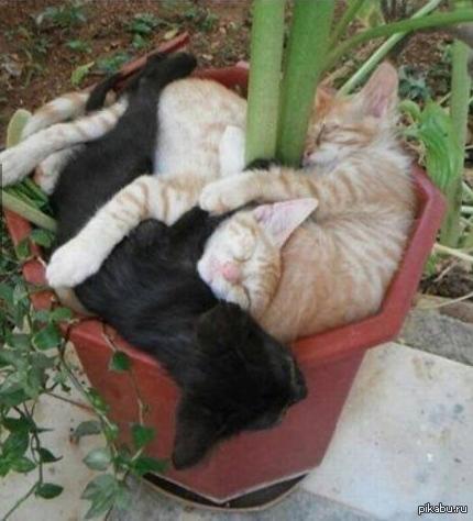 � ��������� �� ����