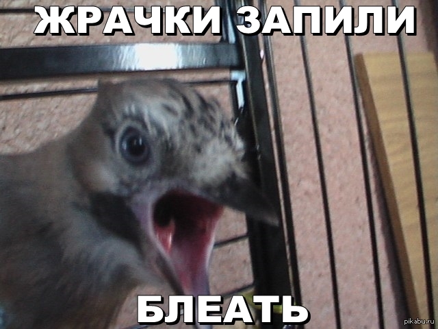 �������!