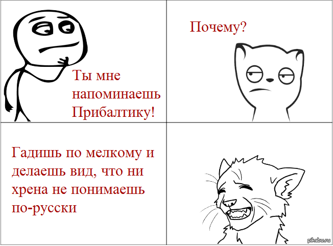 Котэ они такие