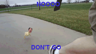 � ������ �� �������