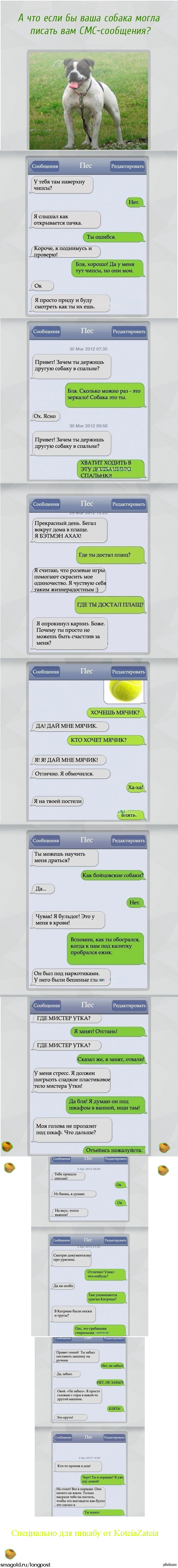      SMS  