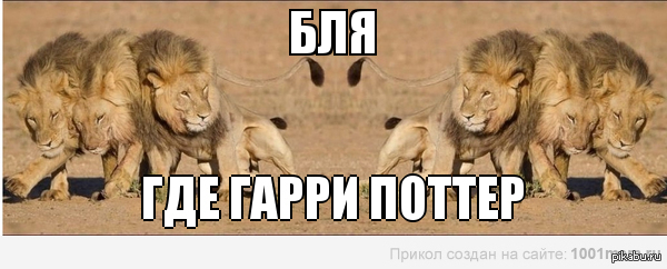 ��� �����?