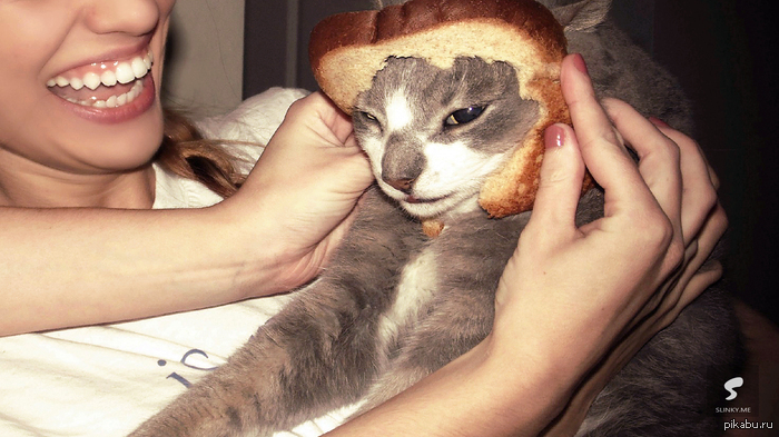 ������� ���