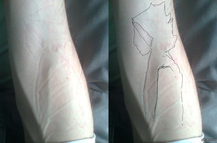 ������� ���� ������ ��������,