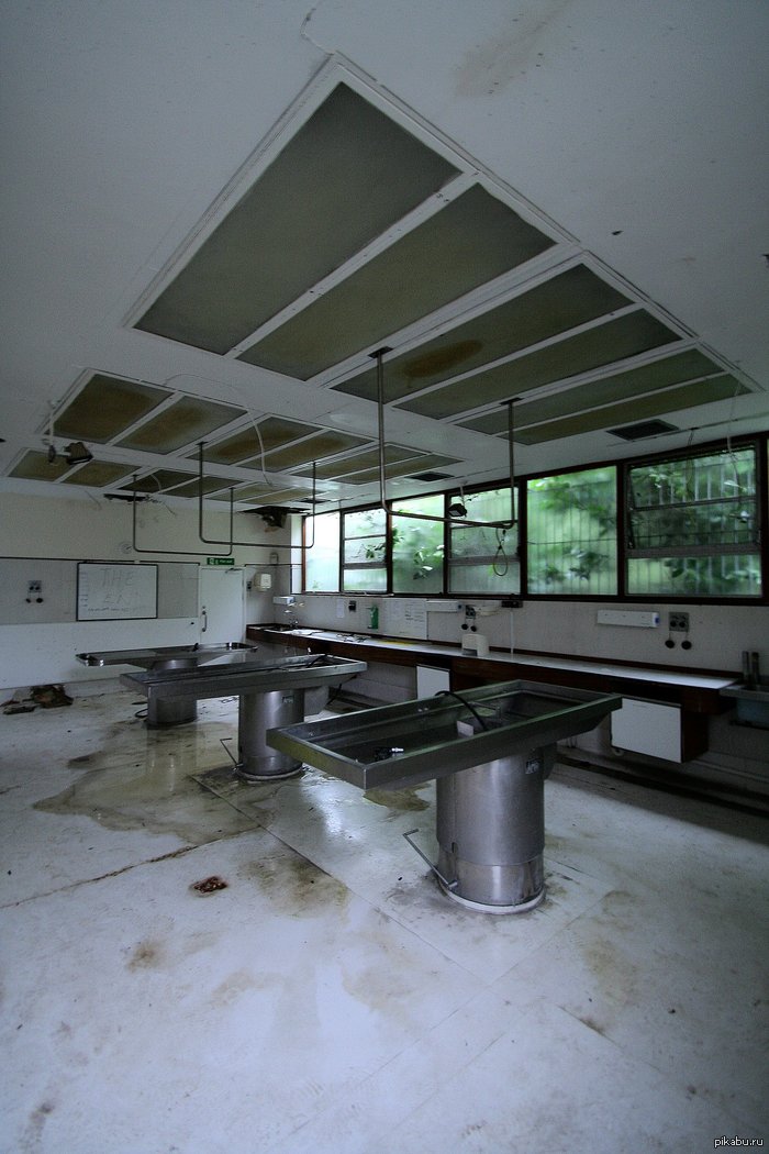 ����������� ���� 3