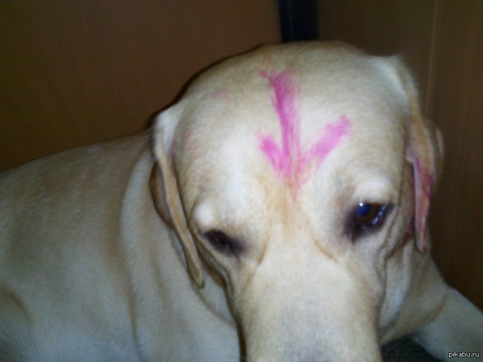 � ������ ��� ����� ������������ �������.