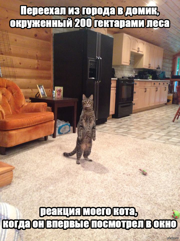 ��������� ���, ������� ��������� ���