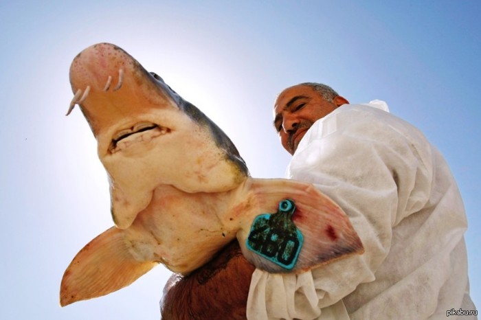 ��������!