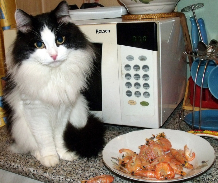 ��� �� ������ ���� ��������