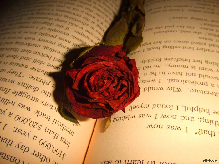 ���������� ����