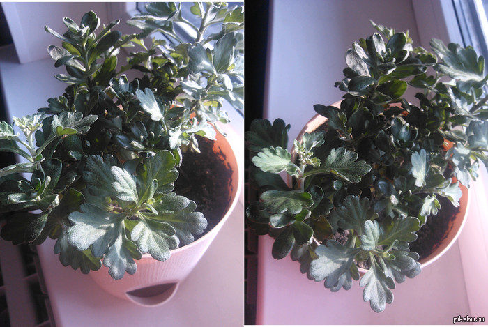 ������� �����������, ����� ������������ =)