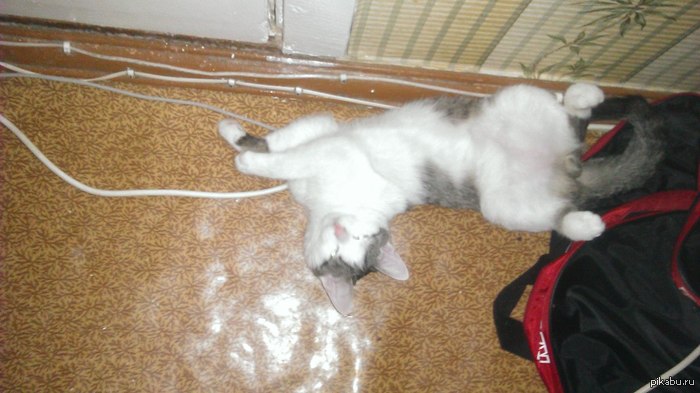 ���� ������...