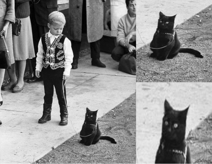  !    " ".  , 1961 .