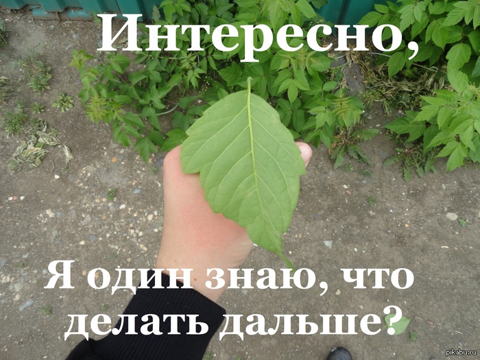  ,  =)   , -,   =)