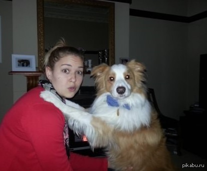 ������ ���� ������� �� ����� ���� � ���� �� ����