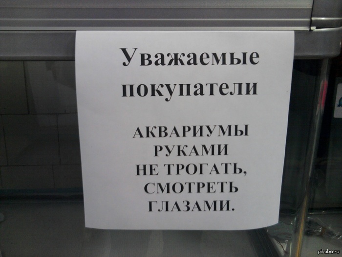 Смотреть глазами..