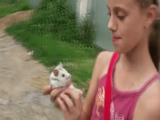 Вдувательница :)