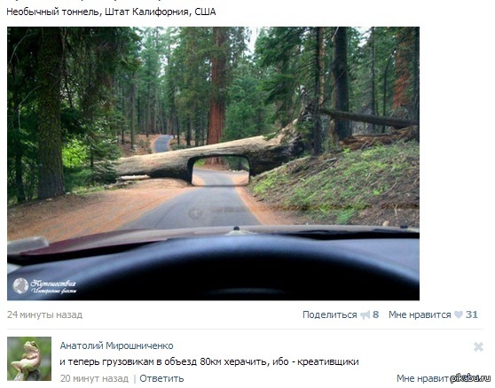 Туннель | Пикабу