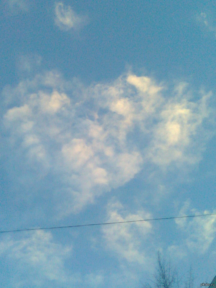 ����� �� "������"