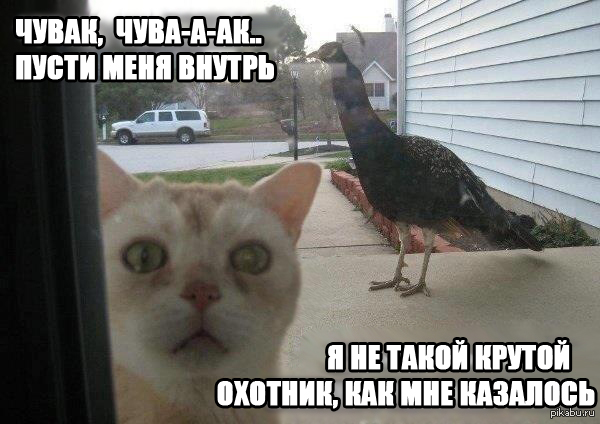 ���� - �������� �� �������