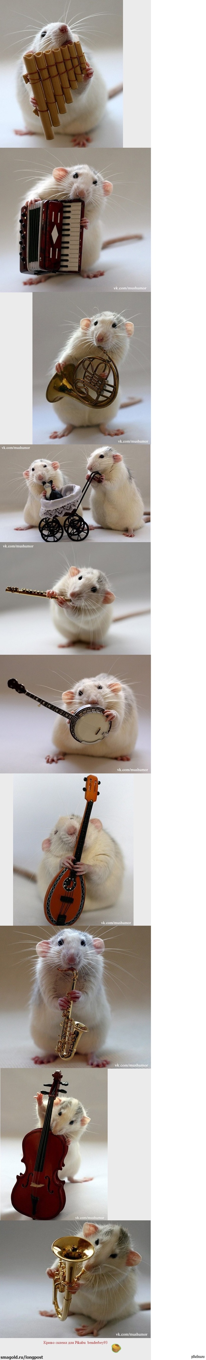 ���� - ��������� (����������)