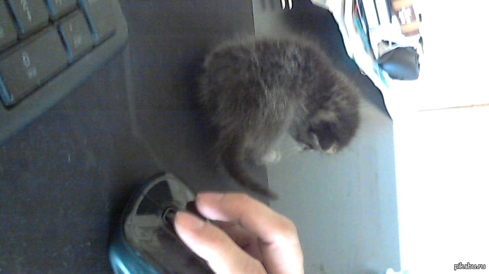 ����� ������