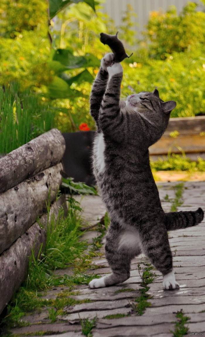 ������������ ������ ������ ��������