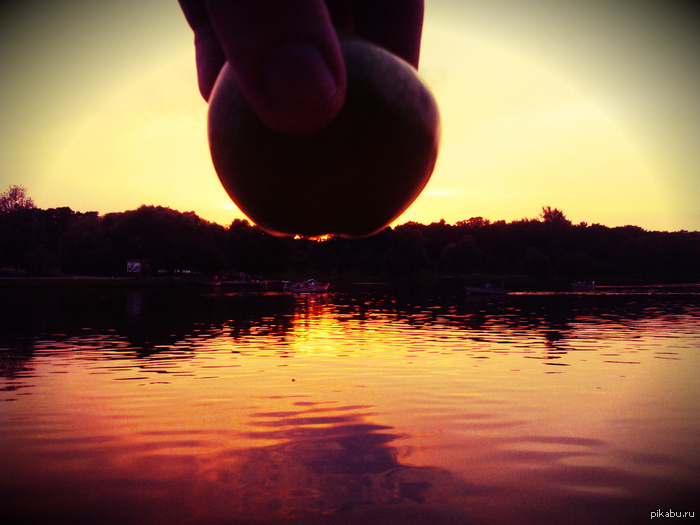Яблоко заката