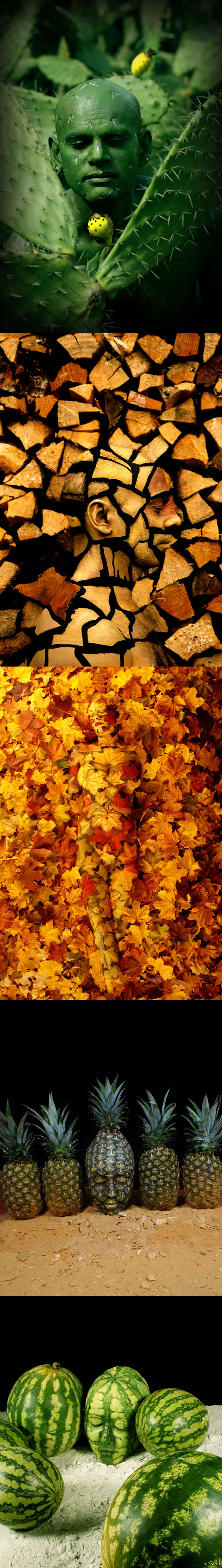 ������� ��������