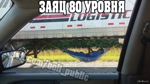 Заяц 80 уровень | Пикабу