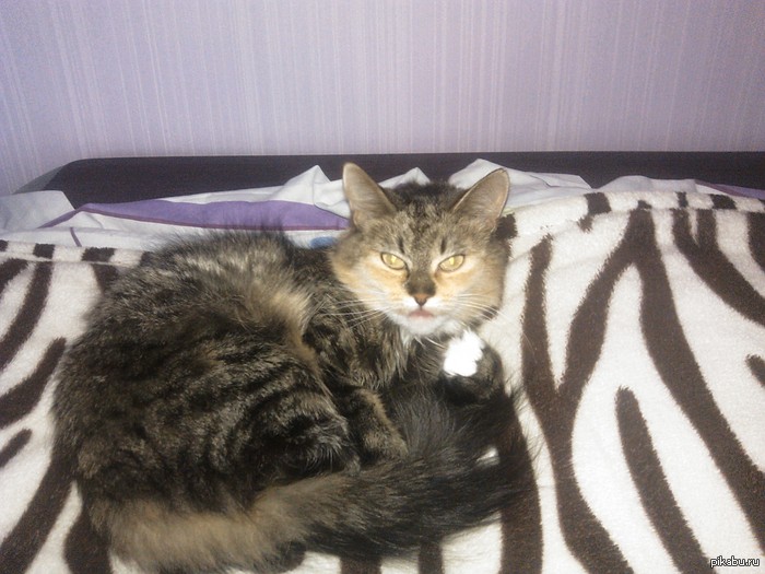 � ����, �� ������ ����;)