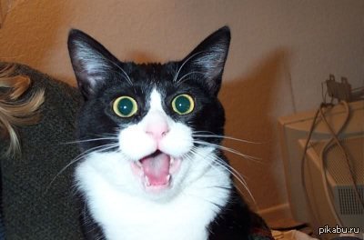 Мое лицо когда...