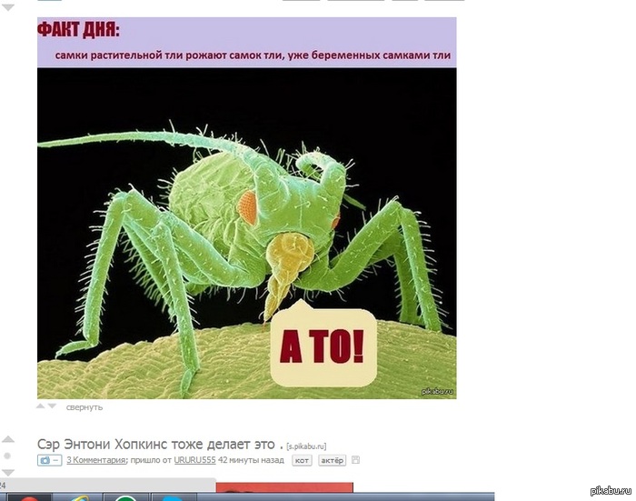 Эх, сэр Энтони.