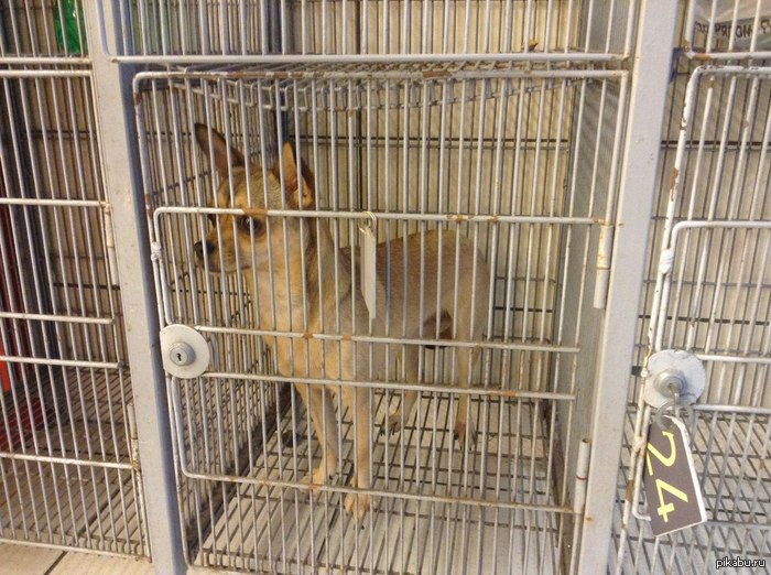 ����� ������� � �����������, � ��� ���.