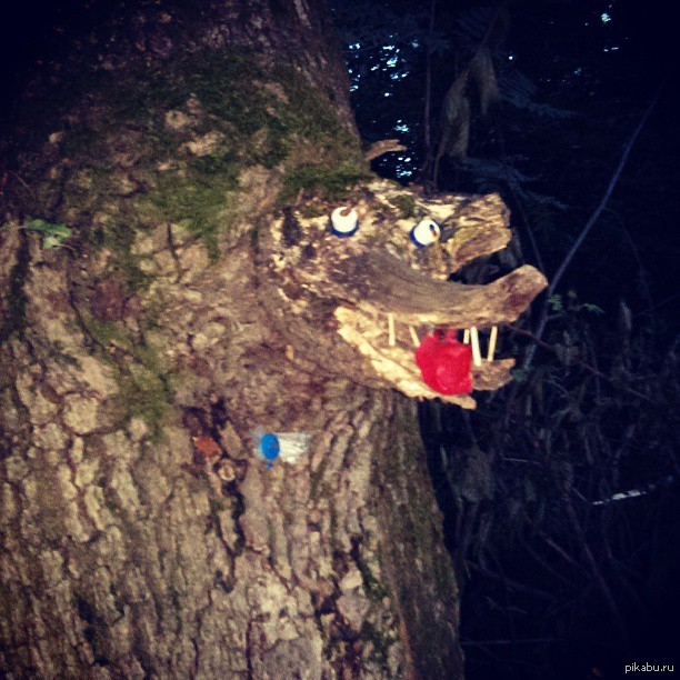 ����������