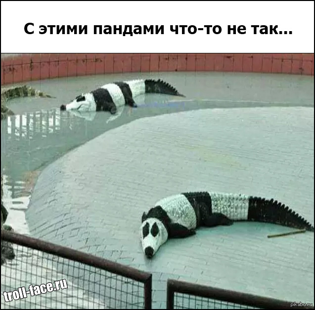 �������������