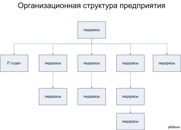 Организационная структура предпреятия - NSFW, Организационная структура пред, Фекалии