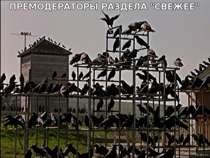 Премодерация