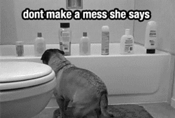 У тебя здесь нет власти